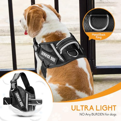 Service Dog Vest Harness and Leash Set, Animire in Training Dog Harness with 10 Dog Patches, Reflective Dog Leash with Soft Padded Handle for Small, Medium, Large, and Extra-Large Dogs (Black, XS) - color: Black, size: XS