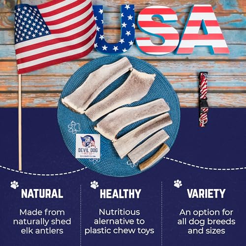 Devil Dog Pet Co. Split Elk Antlers for Dogs, Natural Dog Chew with Exposed Marrow - Long Lasting and Odor Free - USA Sourced - Cleaner Teeth, Anxiety & Boredom Relief - Medium 5"+ 2 Pack - style: split - Medium - 2 Pack
