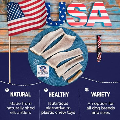 Devil Dog Pet Co. Split Elk Antlers for Dogs, Natural Dog Chew with Exposed Marrow - Long Lasting and Odor Free - USA Sourced - Cleaner Teeth, Anxiety & Boredom Relief - XL 7"+ - Antler Bone - style: split - XL - 1 Pack