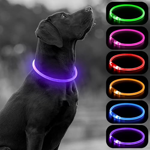 HIGO Light Up Dog Collar, LED Dog Collar for Night Safety with 3 Modes, Type-C Rechargeable & Adjustable TPU Material for Small Medium Large Dogs (Purple) - color: Purple