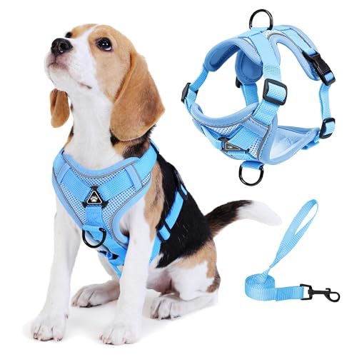 No Pull Dog Harness with Leash Set for Small Sized Dog, Reflective Adjustable No Choke Front Clip Cat Vest Harness with Breathable Mesh, Comfortable Soft Padded Pet Vest, Blue S - color: Blue, size: S (Neck 6.6-9.8'' Chest 7.4-11.4'')
