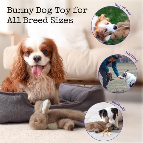 Fuzzwoof No-Stuffing Bunny Squeaky Dog Toy, Cute Plush Puppy Teething Toy to Keep Them Busy, Rabbit Interactive Tug of War & Dental Chew for Small Medium Large Dogs - style: Bunny