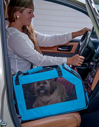 Pet Gear Carrier and Car Seat, Arctic Blue | For Small Dogs & Cats - color: ARCTIC BLUE