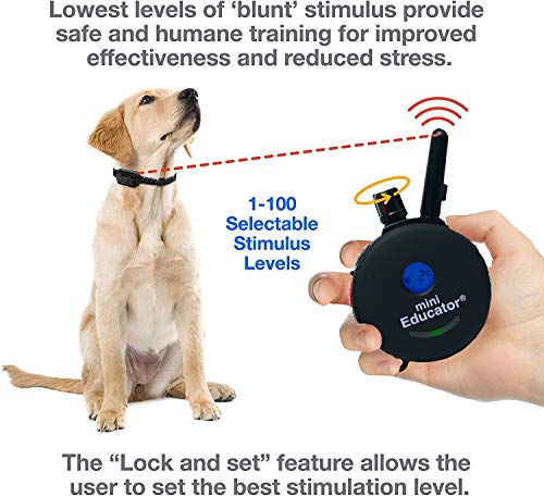 E-Collar ET-300 / ET-302 Dog Training Collar System with Remote - 1/2 Mile Range - Waterproof, Vibration, Sensation - Includes eOutletDeals Pet Towel (2 Dog System - ET-302 Black) - size: 2 Dog System - ET-302 BLACK