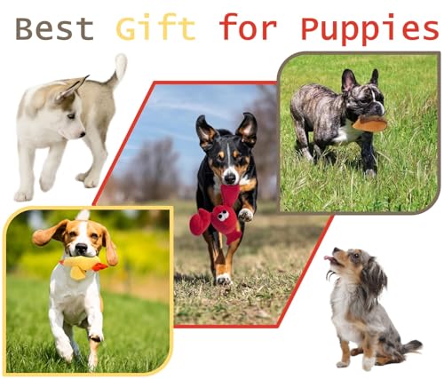 JKW Squeaky Plush Dog Toy Set, 3 Pack Interactive Pet Toys, Chew Toys for Small Medium Large Dogs (Lobster 3 Pack)