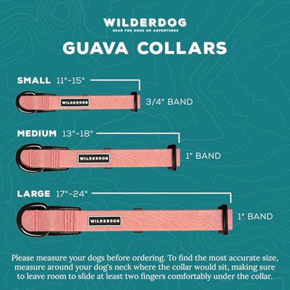 Wilderdog Waterproof Dog Collar - Repels Water & Dirt - Small 11"-15" - Guava - color: Guava, size: Small