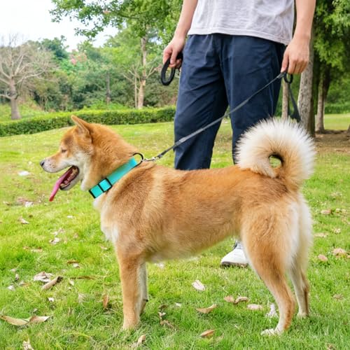 Waterproof Dog Collar Durable and Easy to Clean Rubber Dog Collars Odor-Proof Fits Small Medium Large Dogs (Mint Green, Small (9.5-14.2” Neck)) - color: Mint green, size: Small (9.5 -14.2” Neck)