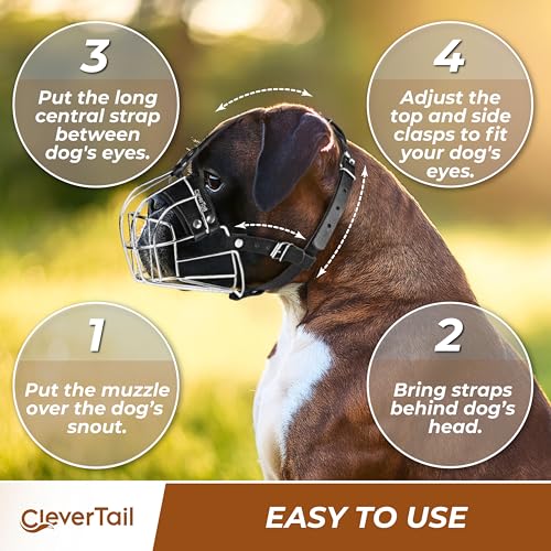 Metal Muzzle for Boxer Dog Breed – Bite Proof Boxer Muzzle for Medium and Large Sized Dogs – Steel Wire Basket Muzzles for Dogs English Bulldog, American Bulldog etc. - size: Large
