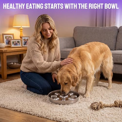 2 Pcs Slow Feeder Dog Bowl, 2 Cups Stainless Steel Dog Slow Feeder Food Bowl for Puzzle Maze Medium Small Dogs or Cat to Eat Slowly, Pet Supplies Dishwasher Safe