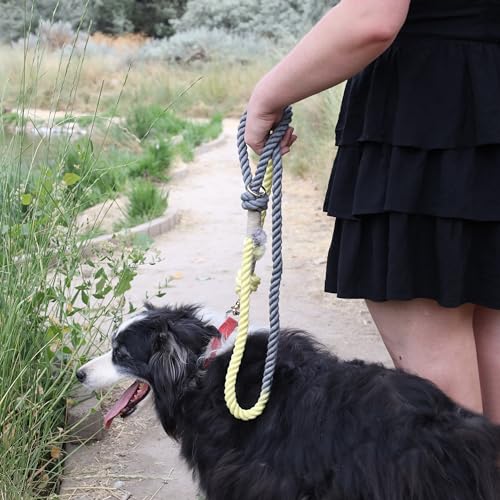 Premium Cotton Rope Leash for Medium & Large Dogs – 5 ft Handcrafted, Strong, Stylish & Durable with 360° Swivel Heavy-Duty Clip – Perfect for Everyday Walks, Training & Weddings - Yellow-Grey Ombre - color: Mint Yellow-Green Ombre