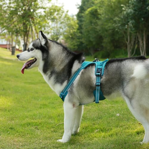 Voyager Dog Harness Dual Leash Attachment No-Pull Control Adjustable Soft but Strong Pet Harness for Medium and Large Dogs with 3M Reflective Technology, Turquoise Nylon, XS (Chest: 13-16") - color: Turquoise Nylon, size: XS (Chest: 13 - 16")