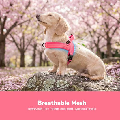 Didog No Pull Dog Harness with Breathable Mesh Padded,Reflective & Quick Fit Light Weight Dog Strap Vest Harness,Easy for Walking Training (XS:Chest 15-18", Pink) - color: Pink, size: XS: Chest 15-18", Fit 9-18 lbs