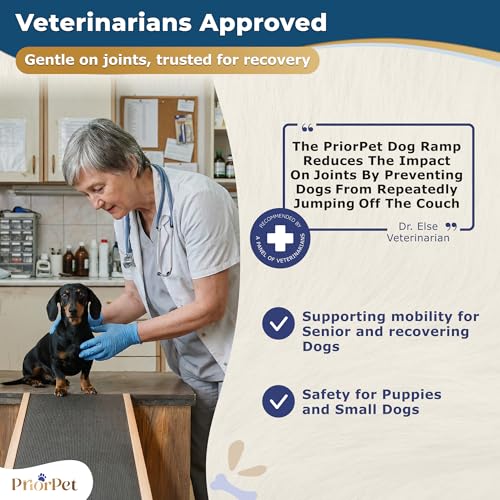 Dog Ramp for Couch – Non-Slip, Sturdy Build Foldable Wooden Dog Ramp – Supports up to 200 lbs – 7 Adjustable Heights (14"–20.5") – Enhanced Stability – Birchwood Pet Ramp for Small Dogs – White - color: White
