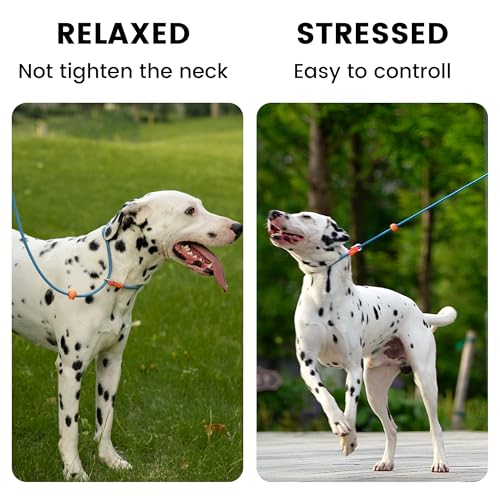 HowGo Slip Collar for Dogs,No Pull Adjustable Martingale Collar for Training, Nylon Rope,Dual Stopper and Durable Aluminum Hardware,Spring-Loaded,for Small Medium Large Dogs(Lavender) - color: Lavender