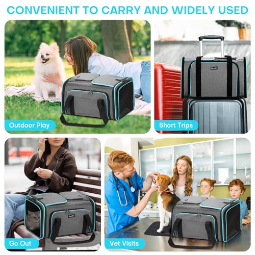 Pet Carrier, Large Soft Sided Expandable Travel Carrier with Steel Frame, Anti-Scratch Mesh, Removable Fleece Pad and Pockets for Cats, Dogs and Small Animals up to 15 lbs (Gray, 4 Sides Expandable) - color: Gray