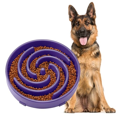 JASGOOD Slow Feeder Bowl for Large Dogs, Anti-Gulping Pet Bowl, Prevents Bloat & Choking - color: N-Taro purple