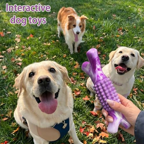 Dog Chew Toys for Aggressive Chewers, Rubber Branch Bone & Durable Nylon Dog Bones with Beef Flavor, Indestructible Dog Toys for Medium Large Dogs - color: 01-Purple