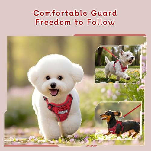 Small Dog Harness and Leash Set, Reflective Soft Breathable Mesh Vest, 3 Buckles, Adjustable Neck and Chest,Step in Dog Harness for Walking, Running, Training, Red, XS - color: Red, size: X-Small