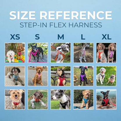 Best Pet Supplies Voyager Adjustable Step-in Flex Breathable Mesh Dog Harness for Small Medium Large Dogs (Turquoise), L - color: Harness (Turquoise), size: L