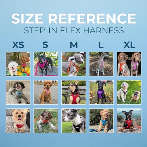 Best Pet Supplies Voyager Adjustable Step-in Flex Breathable Mesh Dog Harness for Small Medium Large Dogs (Turquoise), M - color: Harness (Turquoise), size: M