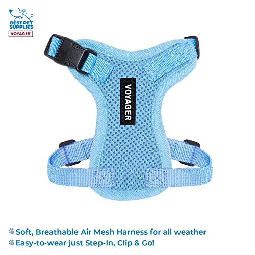 Best Pet Supplies Voyager Step-in Lock Pet Harness w Reflective Pet Leash Combo Set with Neoprene Handle 5ft - Supports Small, Medium and Large Breed Puppies/Cats - Baby Blue Set, XXXS - color: Harness Leash Set (Baby Blue), size: XXXS (Chest: 10.5 - 13")