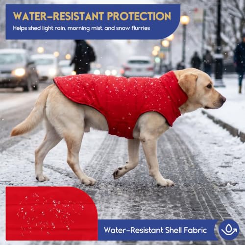 ASENKU Dog Winter Coat, Fleece Doggie Jacket Plaid Reversible Vest Waterproof Windproof Cold Weather Clothes for Small Medium Large Dogs(Red, M) - color: Red, size: Medium