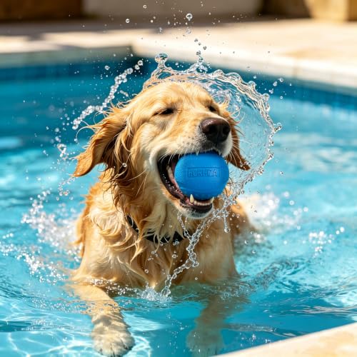 10 Pack Dog Balls, Size Medium for Dogs 20-60 lbs, Bite Resistant Elastic Balls for Dogs with Mesh Bag, Durable Rubber, Floating Dog Balls, 2.5-inch Diameter - size: 10 PCS