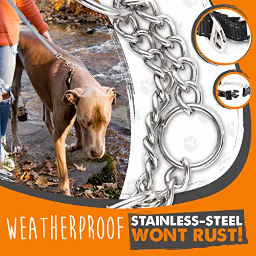 Mighty Paw Martingale Collar with Buckle | Training Dog Collar, Limited Cinch Chain Pet Gear for No Pull Dog Walking. Martingale Dog Collars for Large Dogs, Medium Breeds and Small Pets