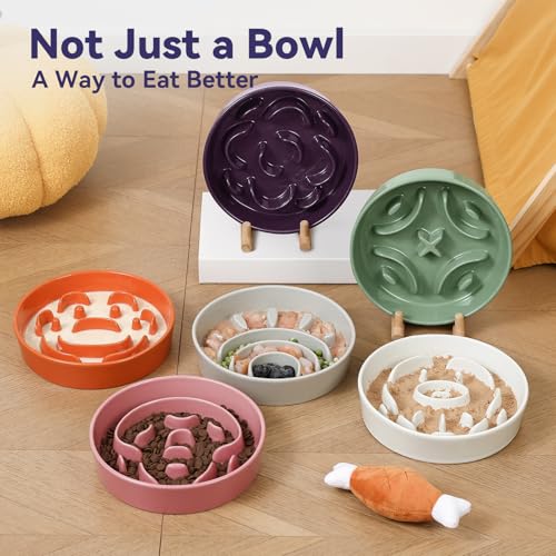 Ceramic Slow Feeder Dog Bowl, 1.8 Cups Anti -Slip Slow Feeding Bowl to Slow Down Eating, 8.2 Inch Dog Food Dish for Medium to Large Breeds, Green - color: Green, size: Medium