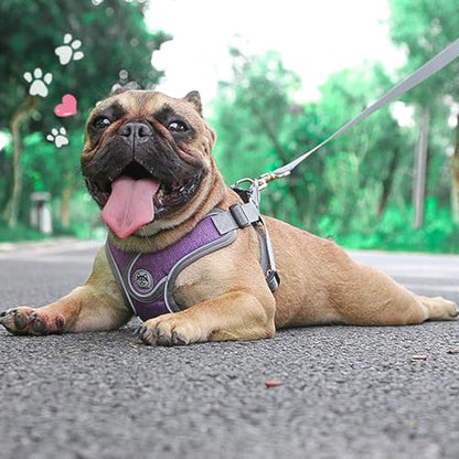 Puppy Harness and Leash Set,No Pull Adjustable Step in Soft Mesh Vest Harness,Easy Walk Reflective Pet Harness with Padded Handle for Walking Training Small Medium Large Dogs and Cats (Purple, XS) - color: Purple, size: XS
