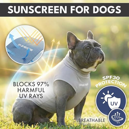 Spark Paws Sunblock Dog T-Shirt, SPF30 Protection, Lightweight Breathable Quick Dry for Dogs with Sensitive Skin - Blue & Grey (Set of 2) - S - color: Blue & Grey, size: S: 5-10lbs