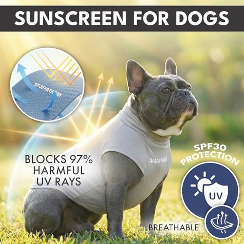 Spark Paws Sunblock Dog T-Shirt, SPF30 Protection, Lightweight Breathable Quick Dry for Dogs with Sensitive Skin - Blue & Grey (Set of 2) - L - color: Blue & Grey, size: L: 15-25lbs