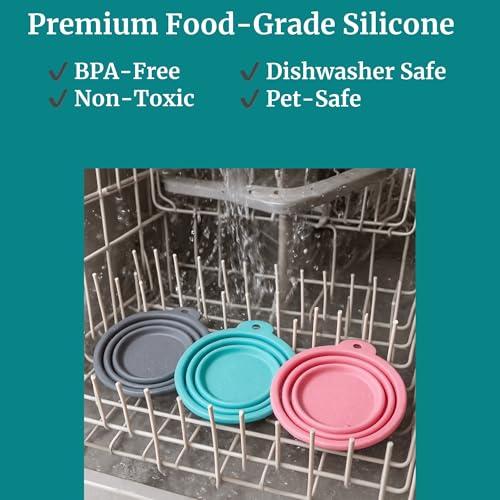 SparkDog Sweet But Psycho Collapsible Dog Bowl, 1000ML (34oz) –XL Food-Grade Silicone Travel Bowl with Sturdy Rim – Extra Large Portable for Dogs & Cats – Great for Pet Lovers (Gray) - color: Gray-"Sweet But Psycho"