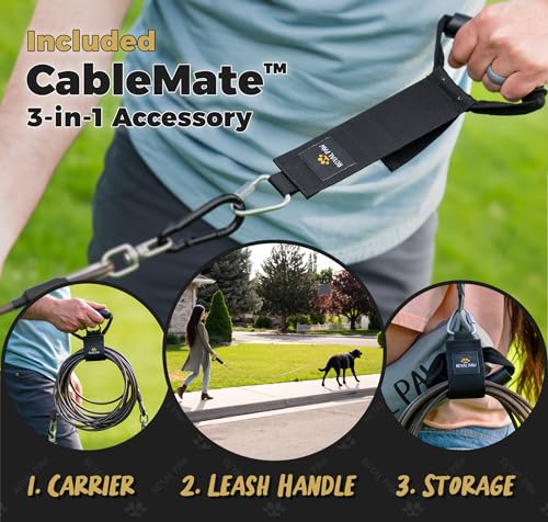 ROYAL PAW Dog Tie Out Cable and Stake 20ft - for Large Dogs up to 300 lbs - Heavy Duty Tether and Dog Stake for Yard, Beach & Camping Outside (Black, L/XL - 20ft) - size: L/XL - 20ft