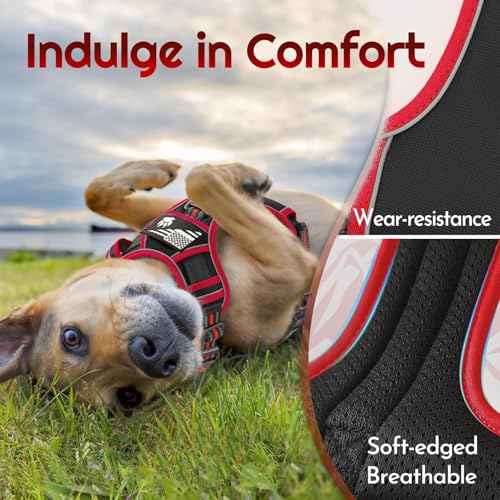 Eagloo Dog Harness Medium Sized, Easy Wearing with 3 Buckles, Adjustable No Pull Pet Harness with 2 Rings for Walking, No Chock Reflective Soft Padded Vest with Control Handle, Black & Red, M - color: Black & Red, size: Medium