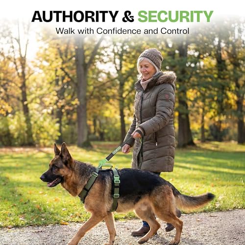 Ultimate Urban Dog Harness - Heavy Duty Design, No Choke, No Pull. Adjustable, Comfy Padding, Easy On/Off, Metal Hardware, Emergency Handle and 3 Connect Points (Green, M) - color: Green, size: M