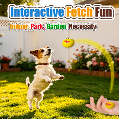 Dog Squeaky Toys for Small Dogs - Assorted Latex Rubber Puppy Squeaky Dog Balls Flat, Smile Face Interactive Fetch Dog Toys with Squeaker, Floating Pet Toys for Indoor & Outdoor Play, 4 Pack