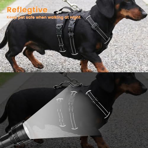 Escape Proof Dog Harness and Leash Set,Soft Padded Full Body Pet Harness, No Pull Reflective Adjustable Dog Vest with Handle, Easy Control Dog Harness for Medium Large Dogs Training Walking Running - color: Black, size: M