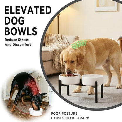 Dog Bowls Elevated - Ceramic Raised Dog Bowl with Non Slip Steel Stainless Stand - No Spill and Heated Feeding Station - Food and Water Dish Set for Medium to Large Pet - Each Holds 7.5 Cups – Green - color: Green, size: 2 Bowls - 7.5 Cups Each