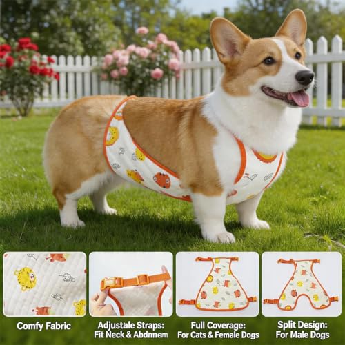 Waterproof Dog Raincoat & Protective Vest | Corgi Dachshund Apron Belly Cover | All Weather Gear for Puppy Walking(Girl-S) - size: Small