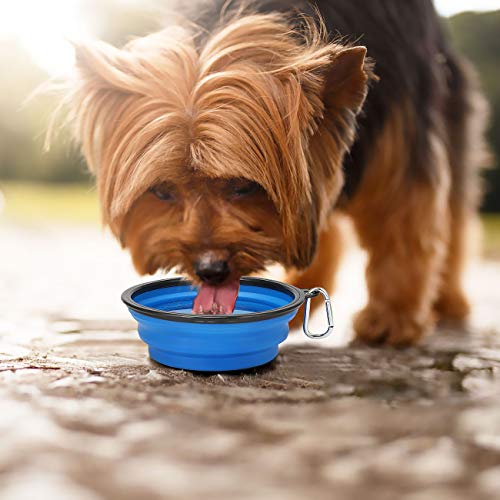 Kytely Large Collapsible Dog Bowls 2 Pack, 34oz Foldable Dog Travel Bowl, Portable Pet Water Food Bowl with Clasp, Pet Cat Feeding Cup Dish for Traveling, Walking, Hiking (Blue+Blue) - color: Blue & Blue
