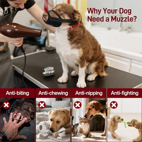 Pezluxe 2-Pack Dog Muzzle, Soft Air Mesh Muzzle Anti Biting Barking Chewing, Secure & Breathable Drinkable Pets Muzzles with Adjustable Strap, for Small Medium Large Dogs (Black-XS) - size: XS