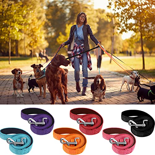 6 Pieces Dog Leash Bulk for Medium and Large Dog, Heavy Duty Nylon Pack Dogs Leashes Padded Handle Double Sided Reflective Puppy Collar for Walking, Training, 5 Feet(Classic)