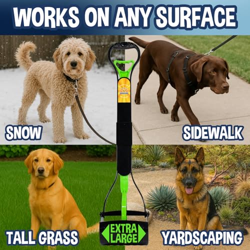 Bodhi Dog 32" Tall Non-Breakable Pooper Scooper for Large Dogs - Lightweight, Foldable Design with Extra Long Handle (Green) - color: Green