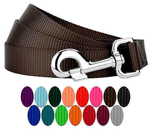 Country Brook Petz - Vibrant 17 Color Selection - Heavyduty Doublehandle Nylon Leash (6 Foot, 3/4 Inch Wide, Brown) - color: Brown