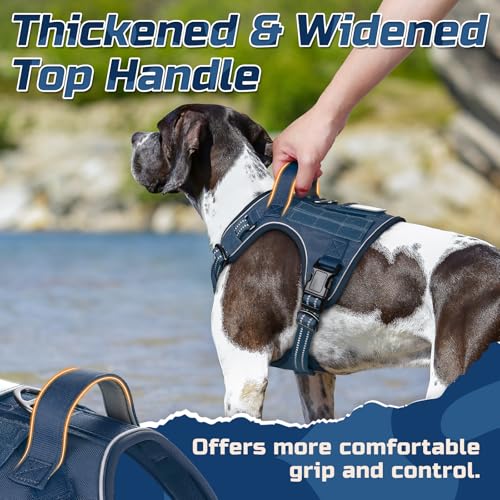 rabbitgoo Dog Harness No Pull, Military Dog Harness Medium Sized Dog with Handle & Molle, Easy Control Service Dog Vest Harness Training Walking, Adjustable Reflective Tactical Pet Harness, Blue, M - color: Blue, size: Medium