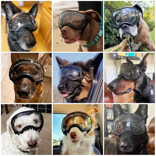 Namsan Clear Dog Goggles for Large Dogs, Wide Eyecup & Soft Frame, Anti-UV Sunglasses for Dogs Medium to Large Breed, Driving Dog Eye Protection, Windproof Dustproof, Adjustable, Clear - color: (Large)Clear Lens