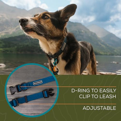 Wilderdog Waterproof Dog Collar - Repels Water & Dirt - Large 17"-24" - Pacific Blue - color: Pacific Blue, size: Large
