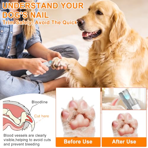 Dog Nail Clippers and Grinder with LED Light, 2-in-1 Professional Electric Pet Nail Trimmer, Quiet & Rechargeable Paws Grooming Tool for Small, Medium, Large Dogs & Cats