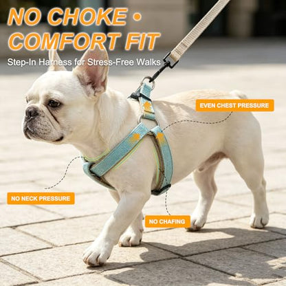 BEAUTYZOO Adjustable No Pull Dog Harness and Leash Set, Linen Style Woven Webbing Step-in Harness, Breathable Pet Vest for Small Medium Dogs Walking Training, Green M - color: Green, size: M(Chest:17.3-23.4")